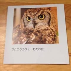 オリジナルフクロウアルバムのサムネイル