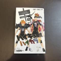 ハイキュー！公式カラーイラスト集のサムネイル