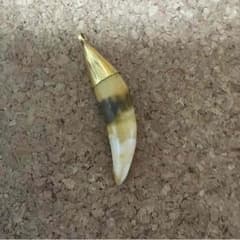 虎の歯ペンダントのサムネイル