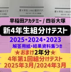 大人気おまけ:次回組分けテスト付】新4年生組分けテスト3年分早稲アカ