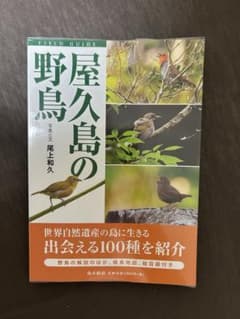 屋久島の野鳥のサムネイル