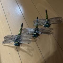 オニヤンマ虫除け3匹セットのサムネイル