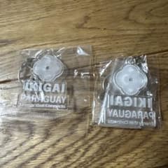 大阪万博 パラグアイ キーホルダー m11643735236_1.jpg?1757338903