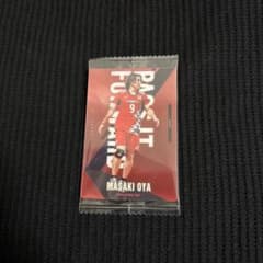 大宅真樹　バレーボールカードのサムネイル