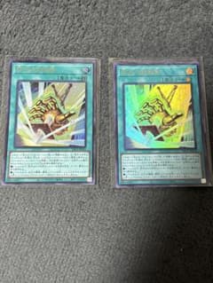 遊戯王 閃光の封殺剣 2枚のサムネイル