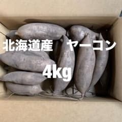 北海道産ヤーコン　4kgのサムネイル