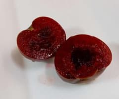【発送ゆっくりめ】家庭菜園で作った無農薬スモモ　約2Kgのサムネイル