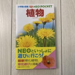 小学館の図鑑　NEO POCET 植物のサムネイル