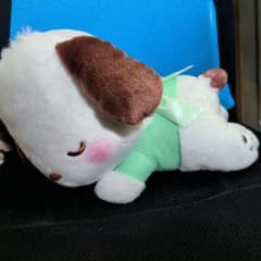 サンリオ ポチャッコ おひるねベビーBIGぬいぐるみ