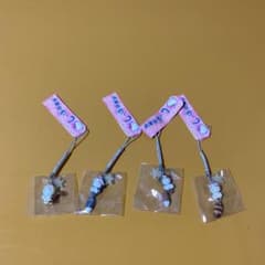 2964　ハローキティ✖️しっぽ倶楽部ストラップ冬季限定 2964 ハローキティ✖️しっぽ倶楽部ストラップ冬季限定 2025年