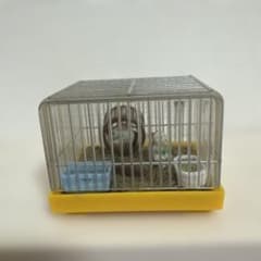 ユージン たのしい飼育当番 ゴールデンハムスター セブンイレブン限定 希少 ユージン たのしい飼育当番 ゴールデンハムスター セブンイレブン限定