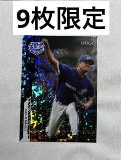 佐々木主浩　シリアルナンバーカード　ファーストナンバー　9枚限定 佐々木主浩 シリアルナンバーカード ファーストナンバー 9枚限定