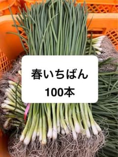 玉ねぎ苗100本のサムネイル