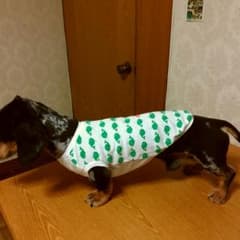 犬服ハンドメイドのサムネイル