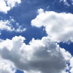 さな様専用のサムネイル