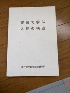 実習で学ぶ人体の構造のサムネイル