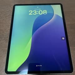 【訳あり】iPad pro12.9 256GB 液晶焼けありのサムネイル