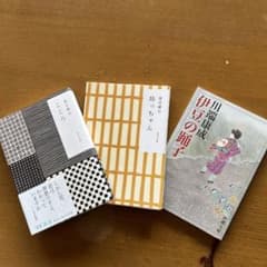 坊ちゃん、こころ、伊豆の踊り子(3冊)のサムネイル