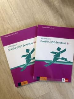 Mit Erfolg zum Goethe-/ÖSD-Zertifikat B1のサムネイル
