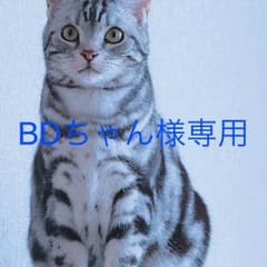 ジャージ 上着のサムネイル