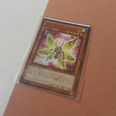 遊戯王 プリミティブバタフライのサムネイル