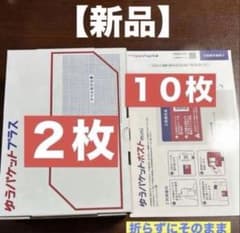 ゆうパケットプラス専用箱 2枚 ゆうパケットポストmini封筒 10枚 新品