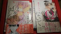 BL漫画 2冊セット リーフレット付きのサムネイル