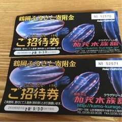 加茂水族館 招待券のサムネイル