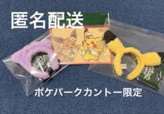 ポケパーク KANTO ピカチュウ メタモン キーホルダー ポストカードのサムネイル