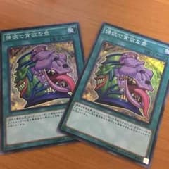 美品       強欲で貪欲な壺２枚セットのサムネイル