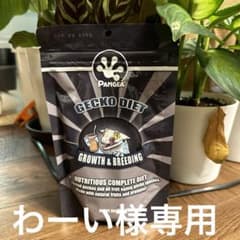 わーい様専用✩.*˚GROWTH&BREEDING8oz✩のサムネイル