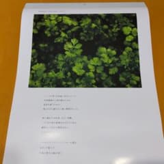 キューピー　2022年　カレンダー　壁掛けのサムネイル