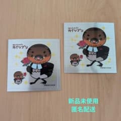 新品未使用　知ったかぶりカイツブリ シール 2枚セット 匿名配送
