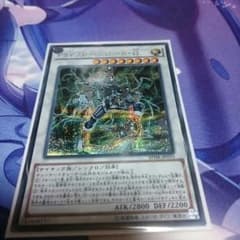 PSYフレームロードΩのサムネイル