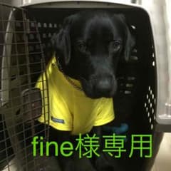 fine様専用★めっちゃたっぷりフルーツ青汁のサムネイル