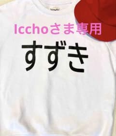 文字のみ　簡単　名前付け　アイロンシール　体操着　ゼッケン　入園・入学グッズのサムネイル