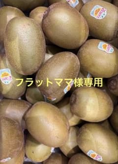 フラットママサンゴールドキウイ25玉サイズ41個入✖︎2ケース フラットママ様専用サンゴールドキウイ25玉サイズ41個入✖︎2ケース