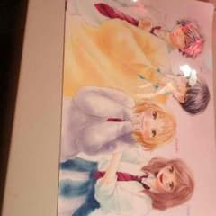 【送料込み】 アオハライド♡ストロボエッジ クリアファイルのサムネイル