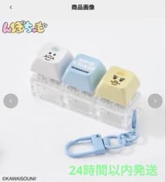 【新品未開封】んぽちゃむ カチカチキーホルダー アソート シロ ミズイロ キイロのサムネイル