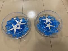 テラリウムボウルのサムネイル