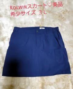 Kolwinスカート美品♡希少サイズ3Ｌのサムネイル