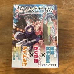超かぐや姫！ 小説のサムネイル