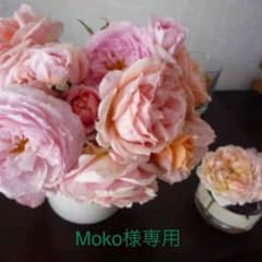 Moko様専用  ☆2〜3才からの脳を育む本☆のサムネイル