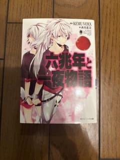 六兆年と一夜物語　小説のサムネイル