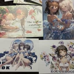anmi コミケ イラスト本 セットのサムネイル