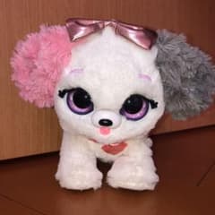 プレゼントペットのサムネイル