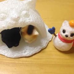 マリーちゃん様専用商品♪のサムネイル