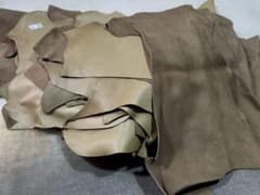 伝説のトマト様　確認用のサムネイル