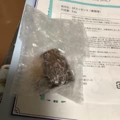 マ・シロ スペシャルエッセンス〈お試し用5ml〉のサムネイル