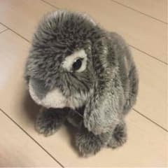 ♡ うさぎ ぬいぐるみ ♡のサムネイル